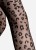 IMG_2945.jpeg
